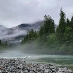 Goodell Creek Campground