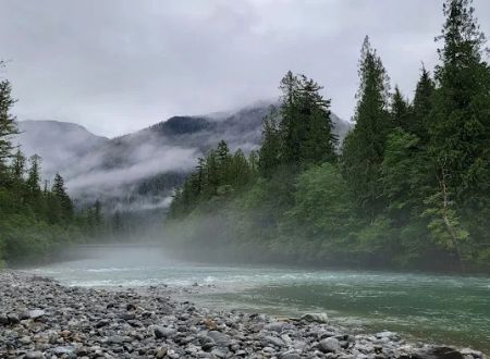 Goodell Creek Campground