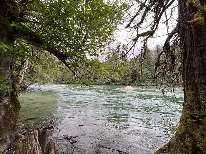Goodell Creek Campground Picture 4