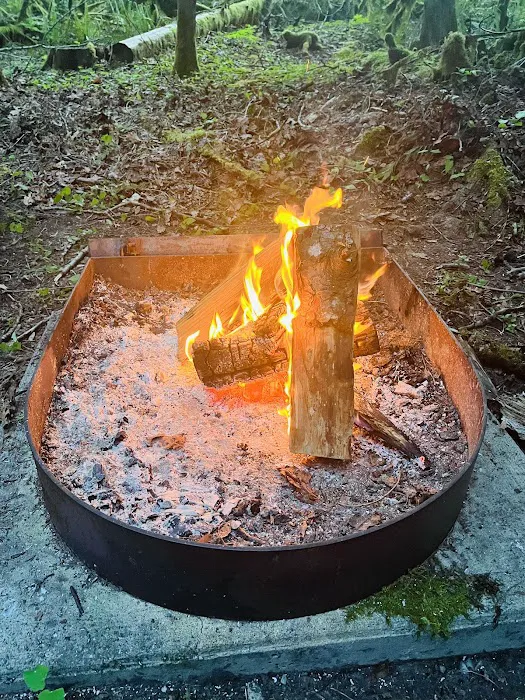 Goodell Creek Campground Picture 6