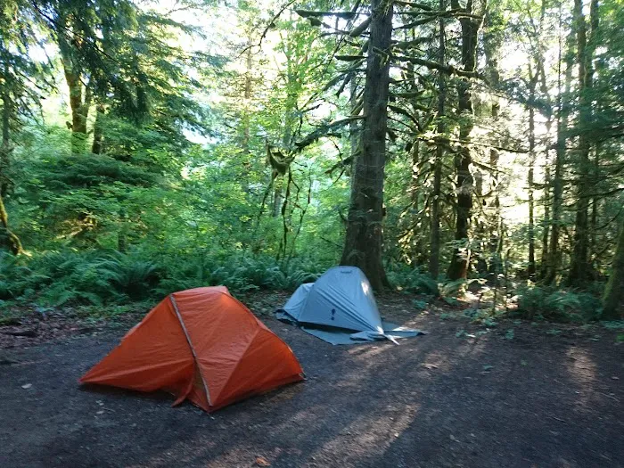 Goodell Creek Campground Picture 5