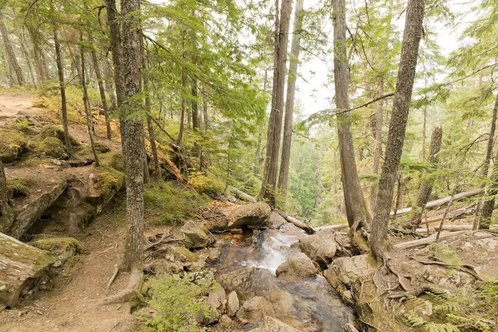 Goodell Creek Campground Picture 9
