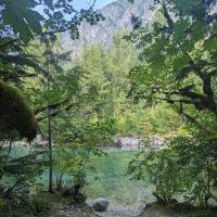 Lower Goodell Group Campground ico