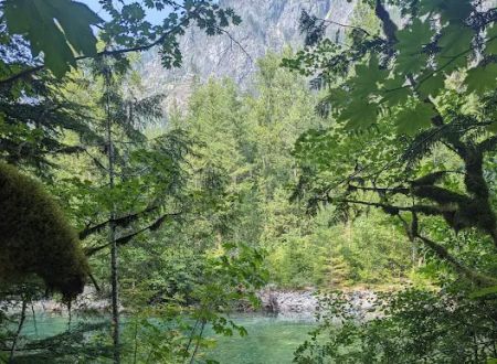 Lower Goodell Group Campground