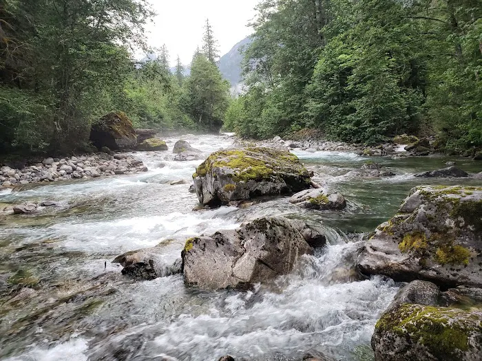 Upper Goodell Group Campground Picture 1