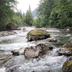 Upper Goodell Group Campground