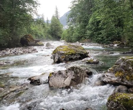 Upper Goodell Group Campground