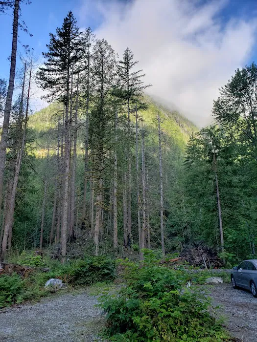 Upper Goodell Group Campground Picture 2
