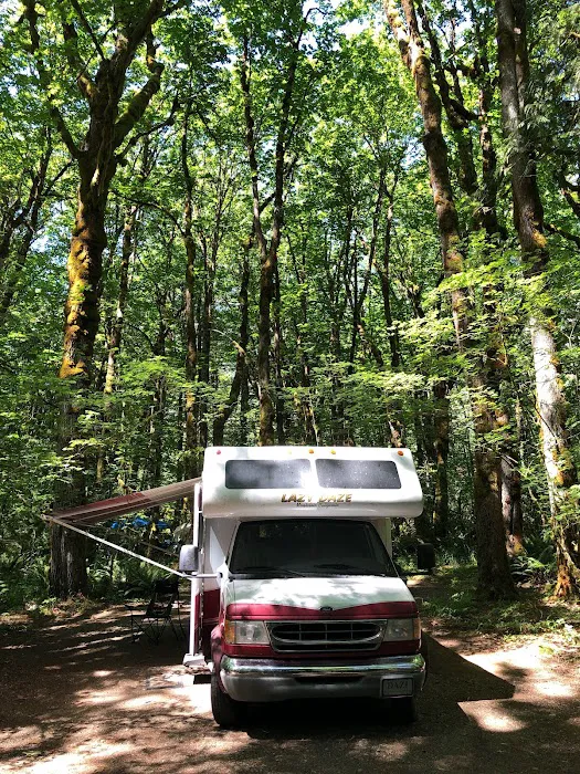 Upper Goodell Group Campground Picture 4