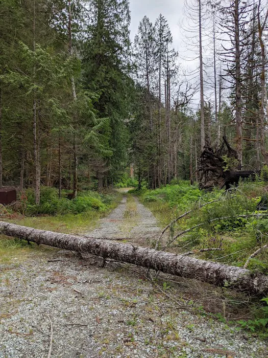 Upper Goodell Group Campground Picture 5