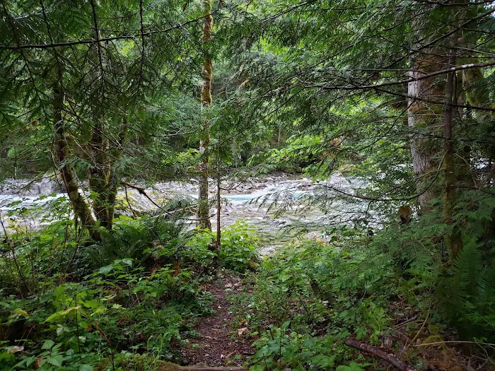 Upper Goodell Group Campground Picture 9