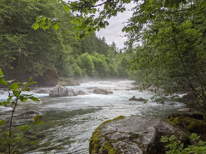 Upper Goodell Group Campground Picture 7