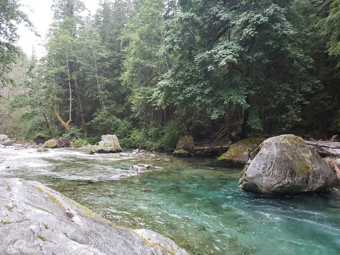Upper Goodell Group Campground Picture 8