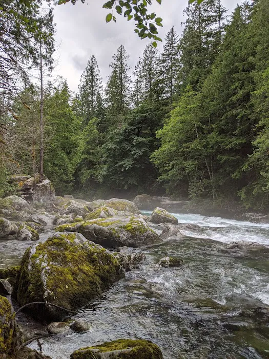Upper Goodell Group Campground Picture 10