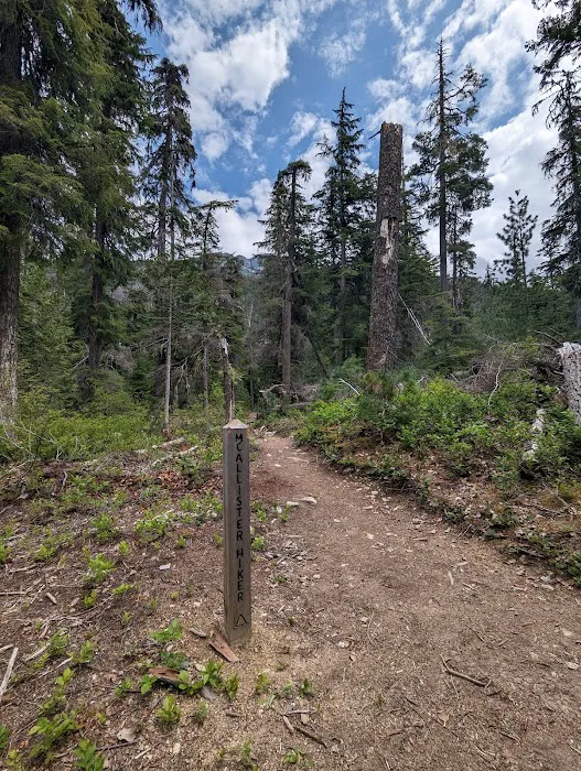 McAllister Campground Picture 4