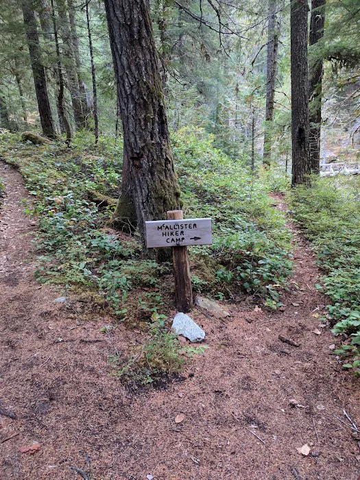 McAllister Campground Picture 6