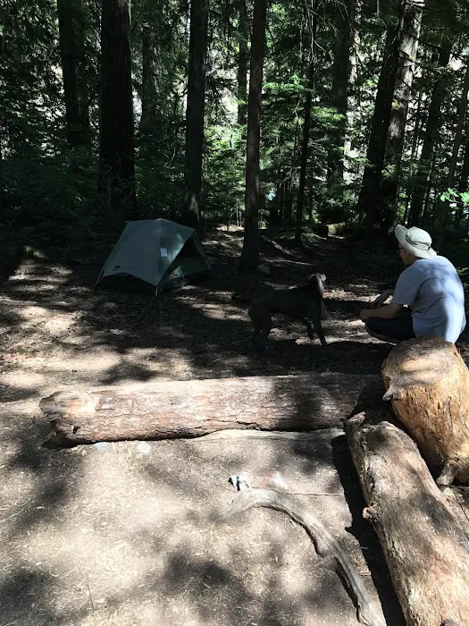 McAllister Campground Picture 9