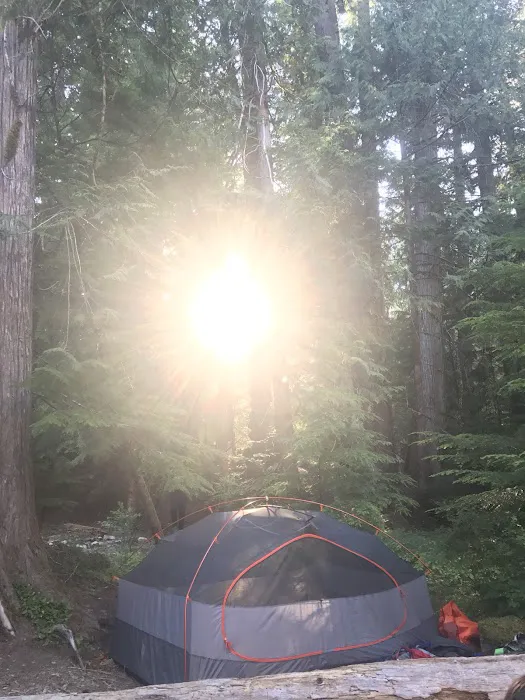 McAllister Campground Picture 7