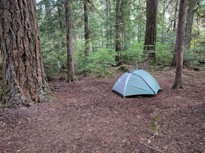 McAllister Campground Picture 8