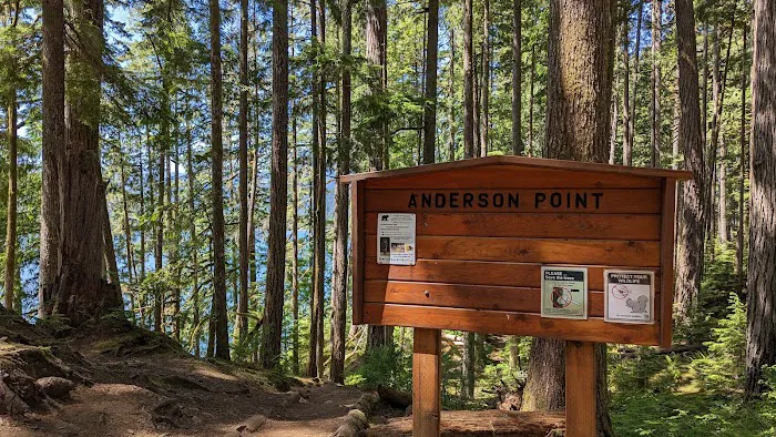 Anderson Point Picture 5