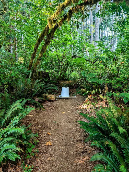 Anderson Point Picture 8