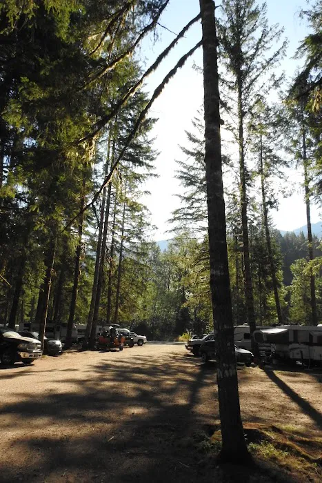 Kulshan Campground Picture 3