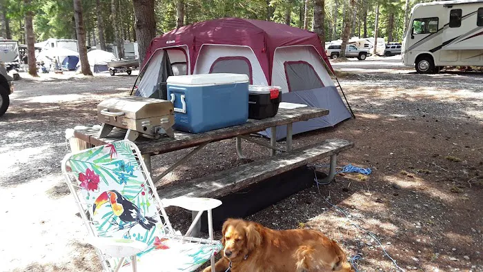 Kulshan Campground Picture 4