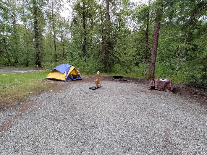 Kulshan Campground Picture 6