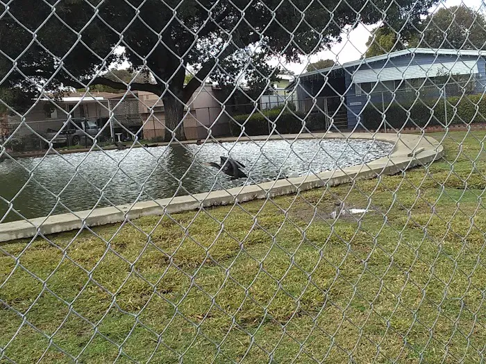 Shadow Lake Mobile Home Park LLC Picture 6