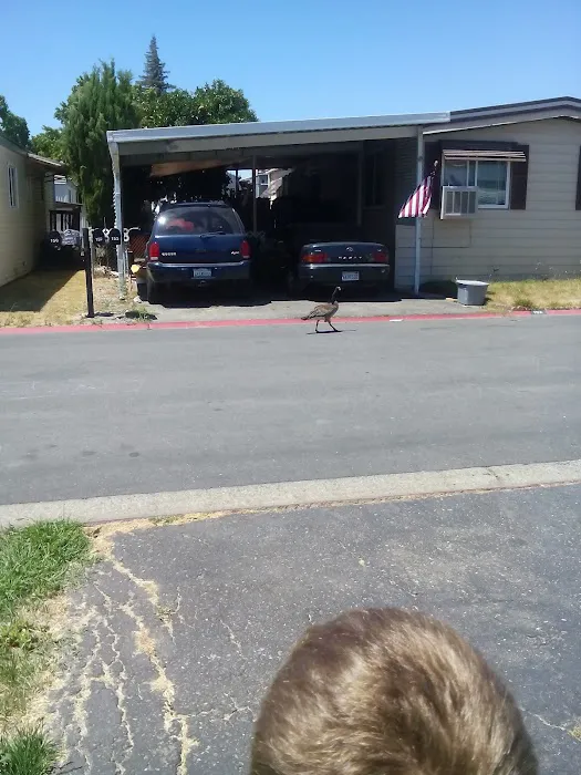 Shadow Lake Mobile Home Park LLC Picture 9