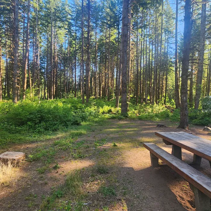 Horseshoe Cove Campground Picture 4