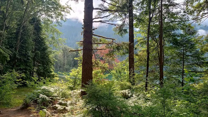 Horseshoe Cove Campground Picture 6