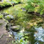 Bridge Creek Campground
