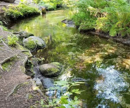 Bridge Creek Campground