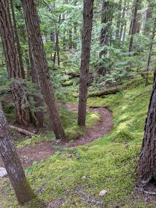 Junction Campground Picture 2