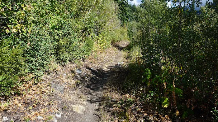 South Fork Campground Picture 4