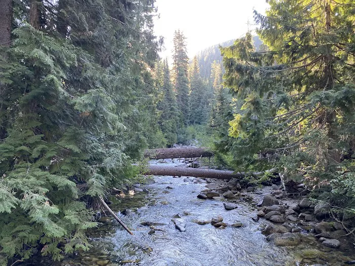 South Fork Campground Picture 3