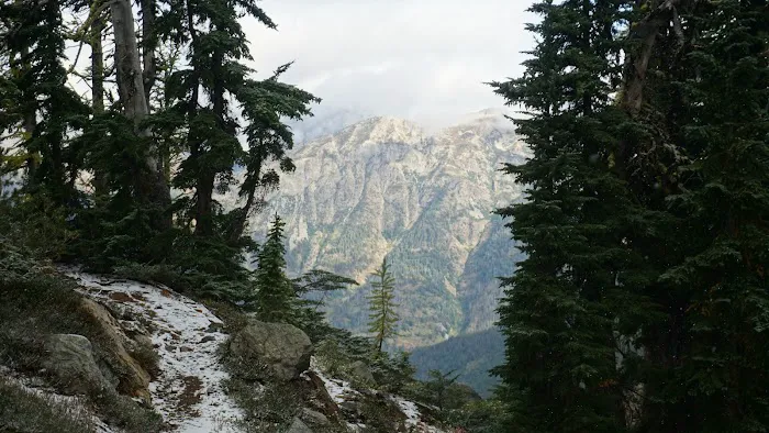 South Fork Campground Picture 7