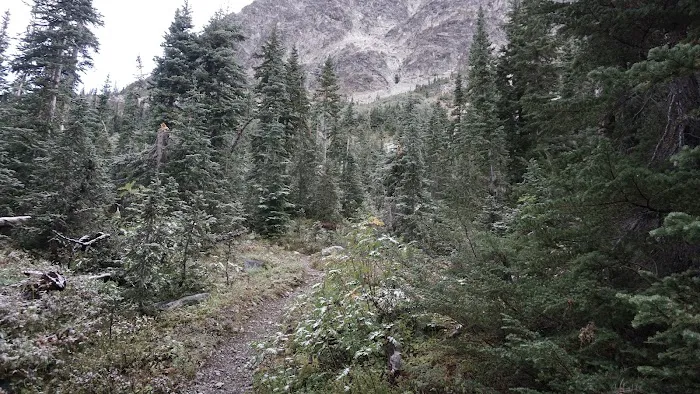 South Fork Campground Picture 9