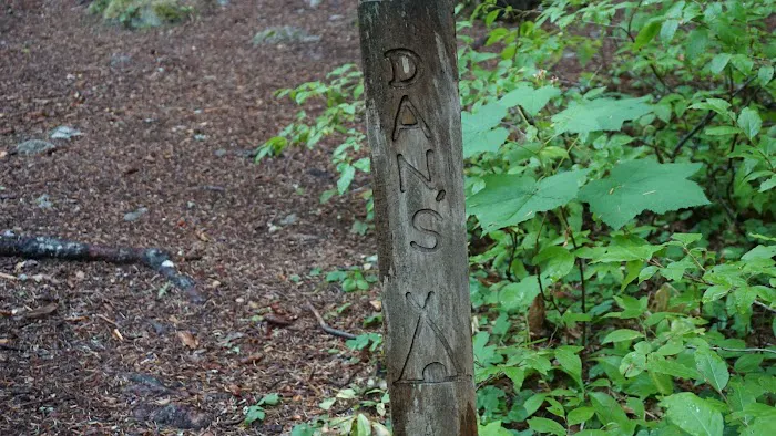Dan's Campground Picture 5