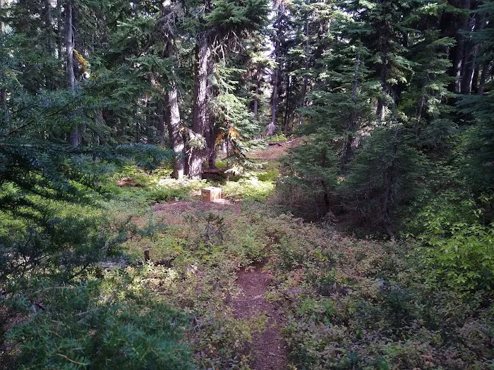 Rainbow Lake Campground Picture 2