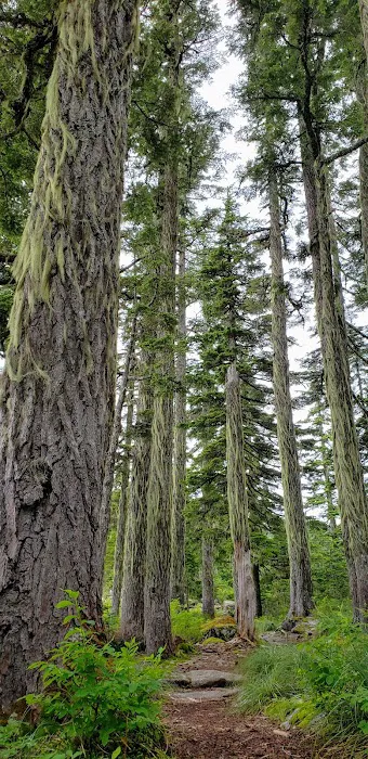 Rainbow Lake Campground Picture 5