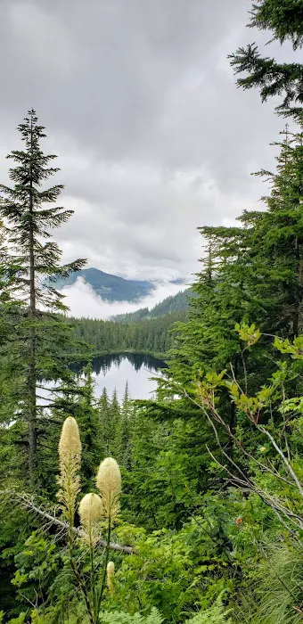 Rainbow Lake Campground Picture 9