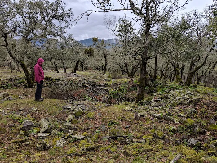 Rancho de Calistoga Picture 7