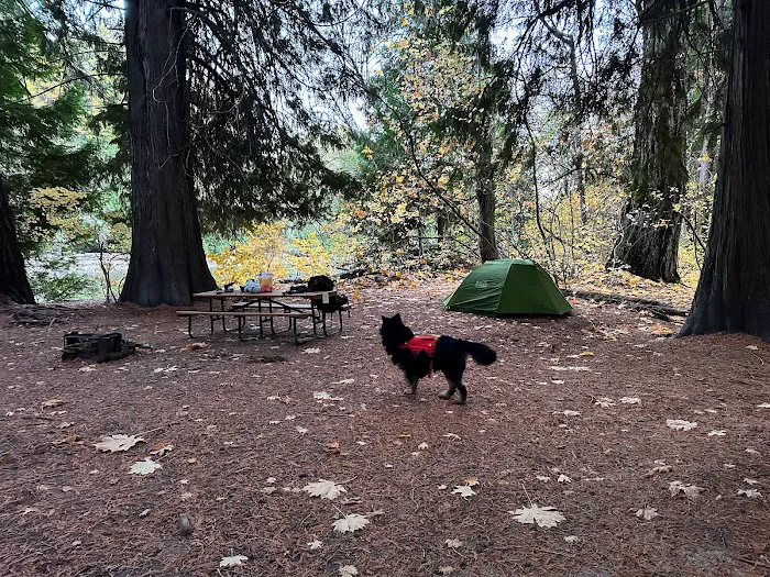 Harlequin Campground Picture 9