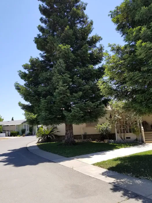 Country Fair Estates Picture 4
