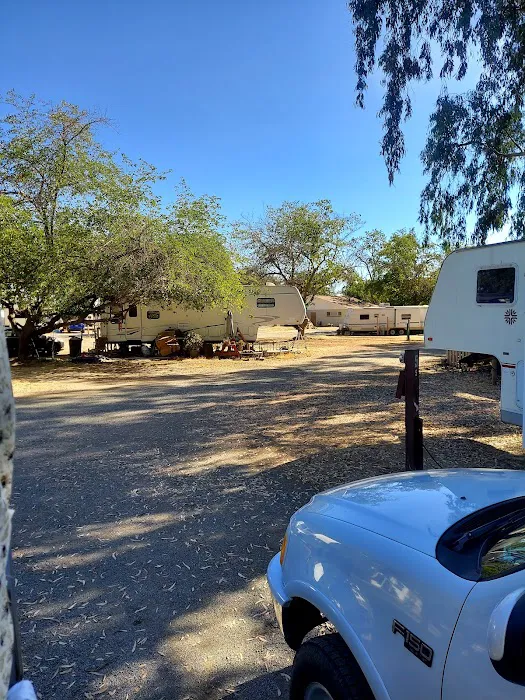 Campers Inn RV Park Picture 4