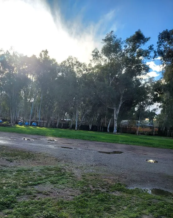 Campers Inn RV Park Picture 5