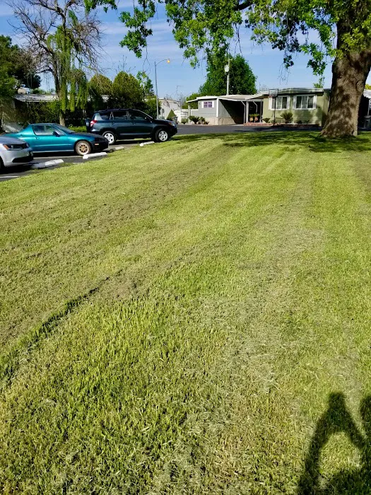 Idle Wheel Estates Picture 6