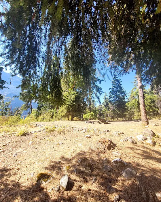 Moore Point Boat-In Campground Picture 2